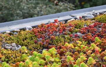 the cost of Capenhurst green roof installation