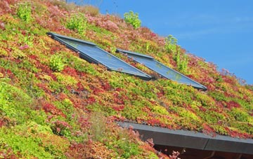 Capenhurst living roof systems