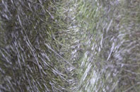 Capenhurst fibreglass roof work